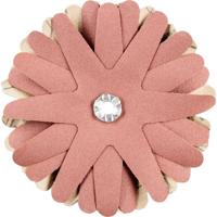 PFERD TOOLS 42732150 Schuurster Diameter 90 mm 10 stuk(s) - thumbnail