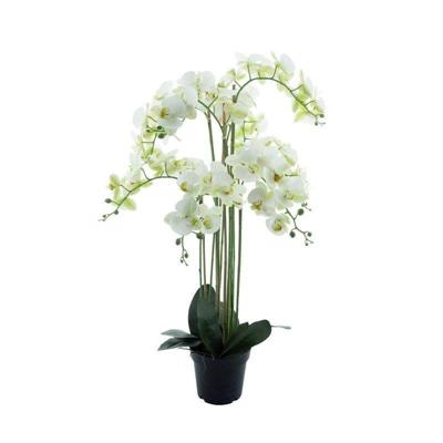 Phalaenopsis Orchidee in pot 110 cm Wit kunstplant Buitengewoon de Boet - Buitengewoon de boet Phalaenopsis Orchidee in pot 110 cm Wit kunstplant Buitengewoon de Boet - Buitengewoon de boet