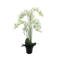Phalaenopsis Orchidee in pot 110 cm Wit kunstplant Buitengewoon de Boet - Buitengewoon de boet - thumbnail