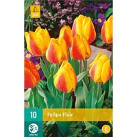Tulp Flair 7 bollen - thumbnail