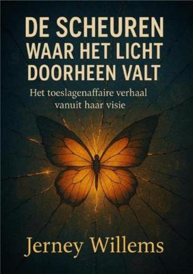De scheuren waar het licht doorheen valt - Jerney Willems - ebook
