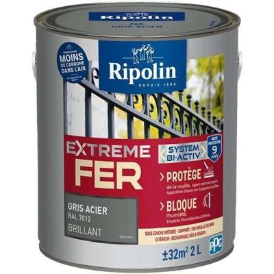 Extreem ijzerstaalgrijs RAL 7012 glanzend - RIPOLIN - 2 L