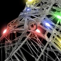 Hertenkop kleurrijk 60 cm Acryl - thumbnail