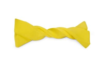 Dog Armor Knockdown Coat (Insect Shield) XXXXS (20cm ruglengte)