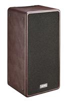 Laney A-Duo akoestische-gitaarversterkercombo - thumbnail