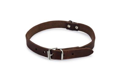 Beeztees - Halsband Hond - Leer - Bruin - 43-52 cm x 20 mm