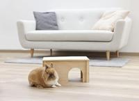 Fast gjutjärnsform - GSW - GRÅ SHADOW - 33 x 25 cm - Oval - Induktion - Grå - thumbnail