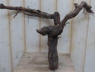 Decoratietak oude wijndruif - Warentuin mix