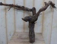 Decoratietak oude wijndruif - Warentuin mix - thumbnail