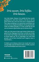 De belofte van het Italiaanse eiland (Paperback) - thumbnail