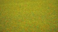 NOCH 00270 Landschapsmat Bloemenweide (l x b) 1200 mm x 600 mm - thumbnail