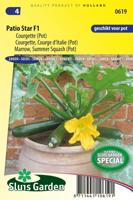 Courgette Patio Star F1 zaden - thumbnail