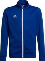 adidas Entrada 22 Trainingsjack Kids Blauw Wit - thumbnail