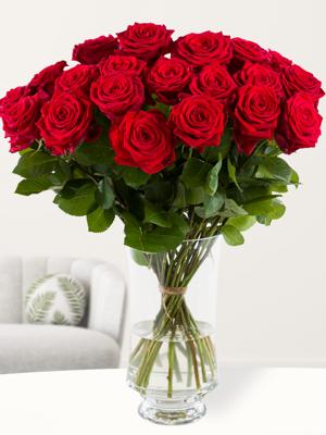 20 rode rozen - XL rozen - Red Naomi