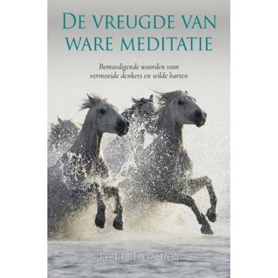 De vreugde van ware meditatie (Paperback)
