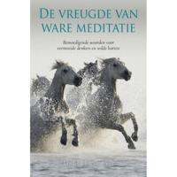 De vreugde van ware meditatie (Paperback) - thumbnail