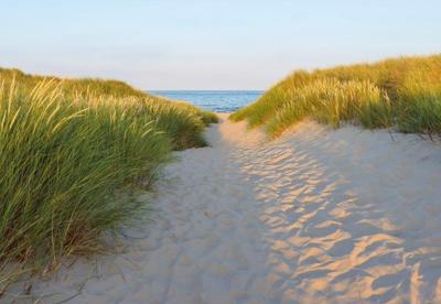 Noordwand Komar Colours Fotobehang Sandy Path - 8-995