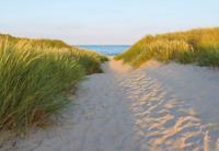 Noordwand Komar Colours Fotobehang Sandy Path - 8-995 - thumbnail