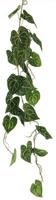 Scindapsus alba garland green 109cm - thumbnail