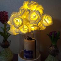 3m Rose vorm USB Plug romantische LED String vakantie licht 20 LEDs Teenage stijl Warm Fairy decoratieve Lamp voor Kerstmis bruiloft slaapkamer (Wa - thumbnail