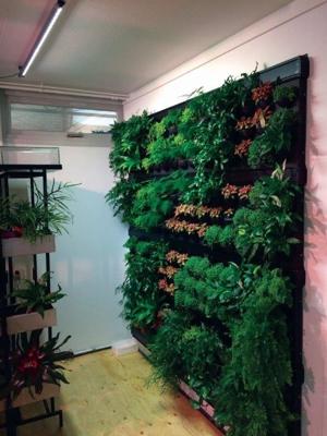 Linear langwerpige kweeklamp led living wall 120 graden 30w 90 cm BTT & Parus - Btt