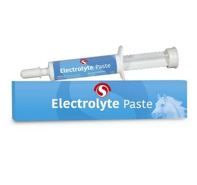 Sectolin Electrolyte Pasta