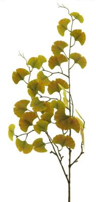 Gingko spray yellow 84cm