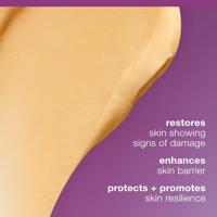 Dermalogica Multivitamin Power Recovery Masque - thumbnail