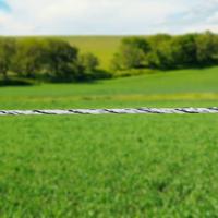 Gallagher Vidoflex 6 PowerLine wit 1000m - 072422 072422 - thumbnail