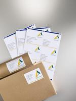 Etiket Avery L7166-100 99.1x93.1mm 600stuks wit - thumbnail