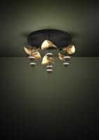 Stars of Light Design plafondlampDracera zwart met goud - 390411 - thumbnail
