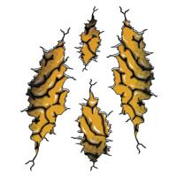 Stickerset hersenen - thumbnail