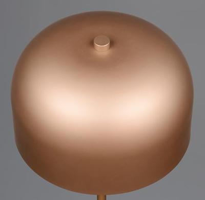 Trio Oplaadbare vloerlampJeff koffiebruin - R49151165