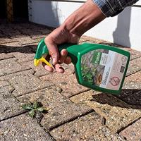 Pokon Tegen Onkruid Spray 1L - thumbnail