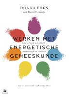 Werken met energetische geneeskunde - Donna Eden - Paperback (9789401304528) - thumbnail