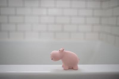 Tikiri Badspeeltje - mijn eerste zoodiertjes - nijlpaard