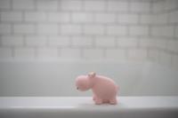 Tikiri Badspeeltje - mijn eerste zoodiertjes - nijlpaard - thumbnail