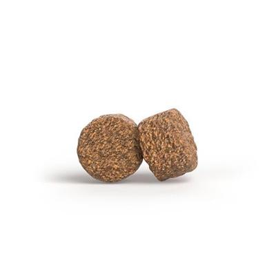 Voer Josera Mother&Puppy Zalm Rijst 3 Kg