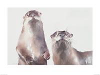 Twee Otters Art Print Aimee Del Valle 60x80cm - thumbnail