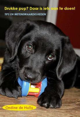 Drukke pup? Daar is iets aan te doen! - Ondine de Hullu - Paperback (9789085484318)