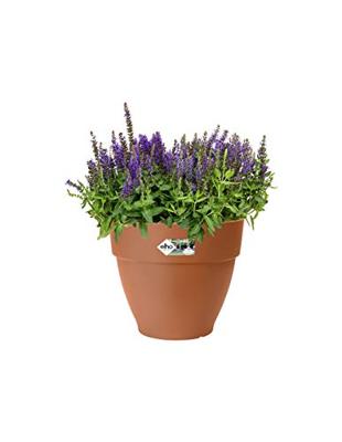 Elho pot vibia campana rond D35cm - terra