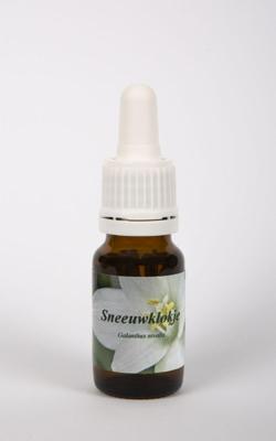 Star Remedies Sneeuwklokje 10 Milliliter