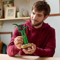 LEGO ICONS 10344 The Botanical Collection - Geluksbamboe - thumbnail