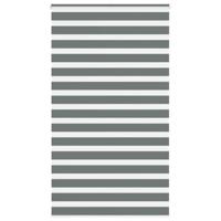 VidaXL Zebra rolgordijn 120x230 cm stofbreedte 115,9 cm donkergrijs - thumbnail