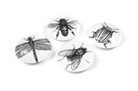 Trendform Magnet Eye - Bug - set van 4 verschillende - thumbnail