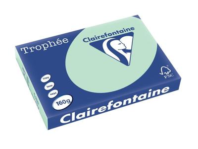 Clairefontaine Trophée Pastel, gekleurd papier, A3, 160 g, 250 vel, groen