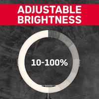 AGFAPHOTO Ringlight Realiview ARL 11 - thumbnail