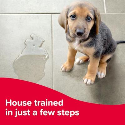 Deodorant Spray Inodorina White Musk 300 ml