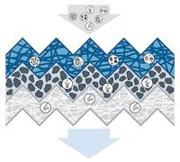 Interieurfilter A8568 - thumbnail