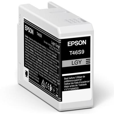 Epson Singlepack Light Gray T46S9 UltraChrome Pro 10 ink 25ml
